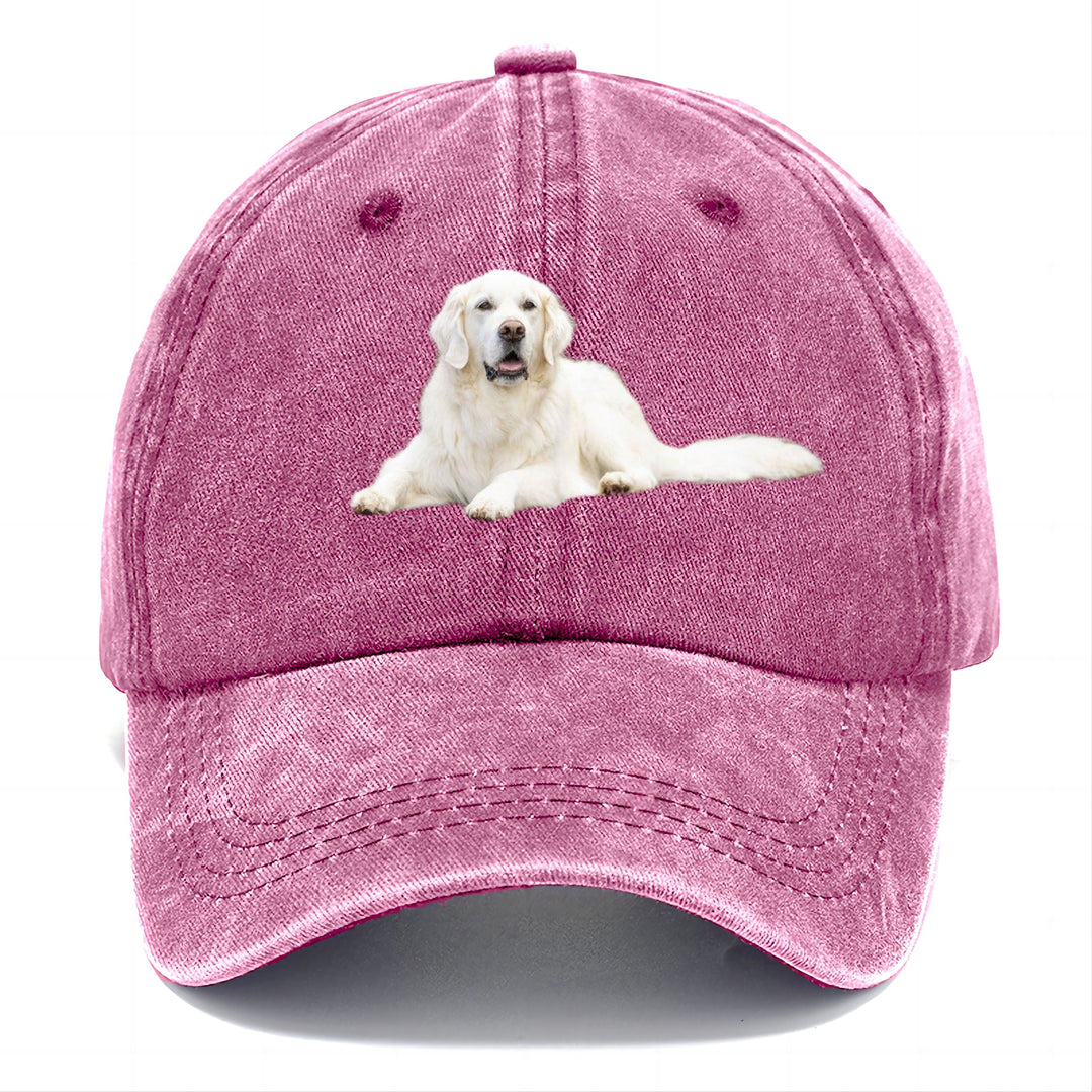 Ariel | Gorra Clásica Retriever