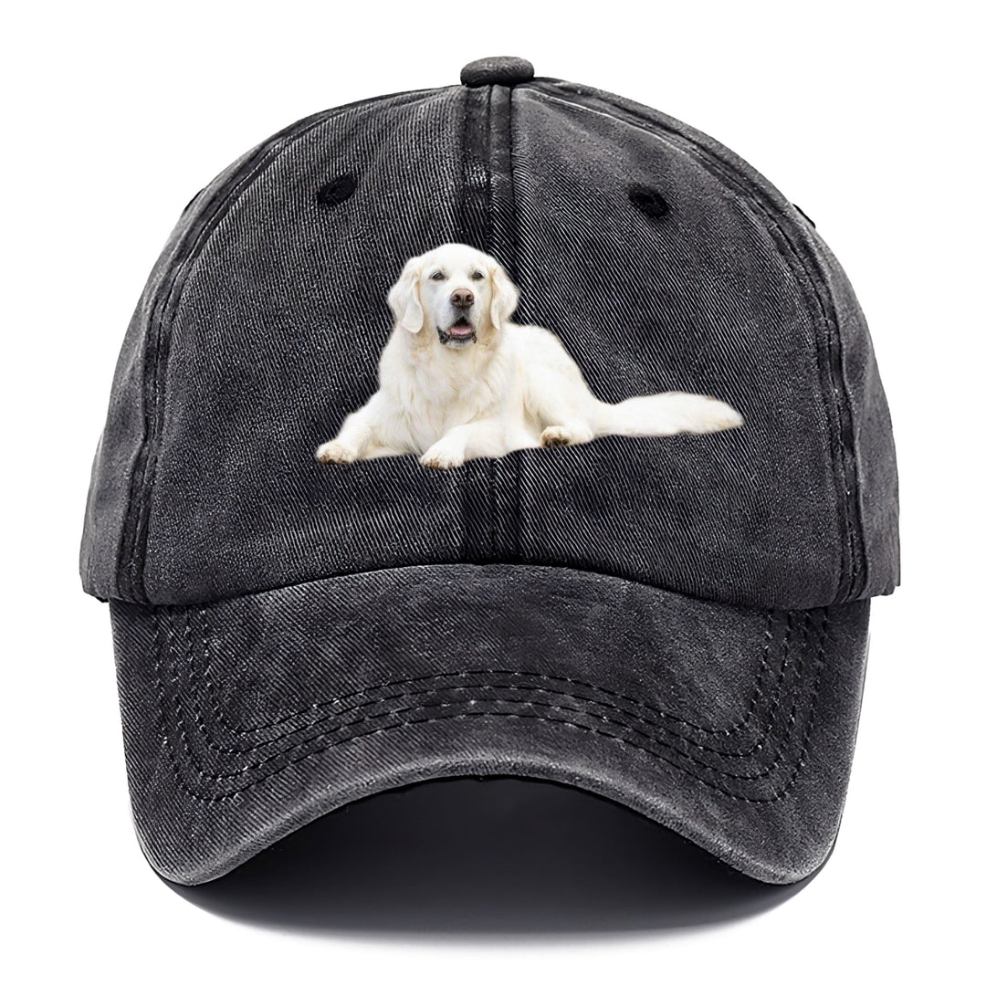 Ariel | Gorra Clásica Retriever