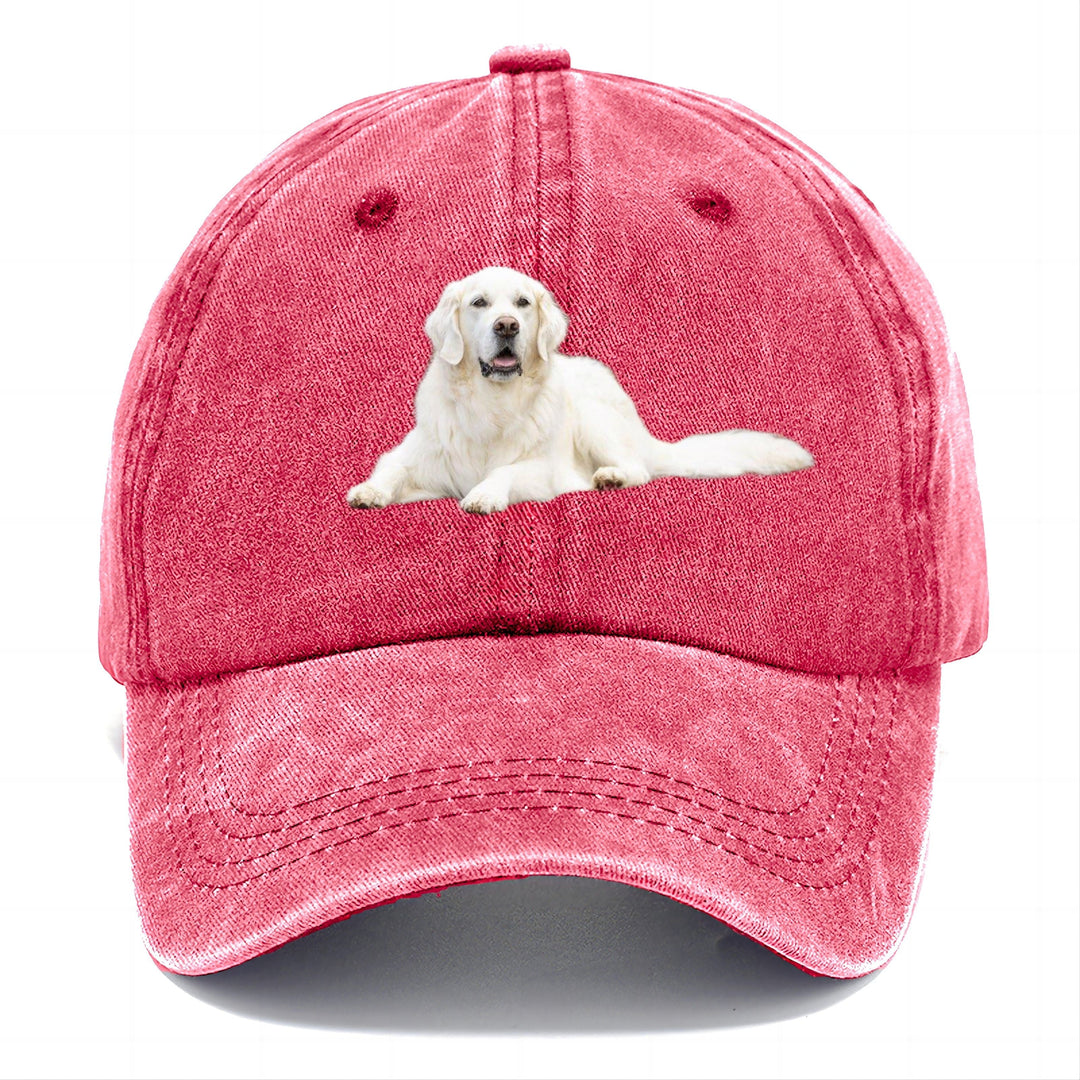 Ariel | Gorra Clásica Retriever