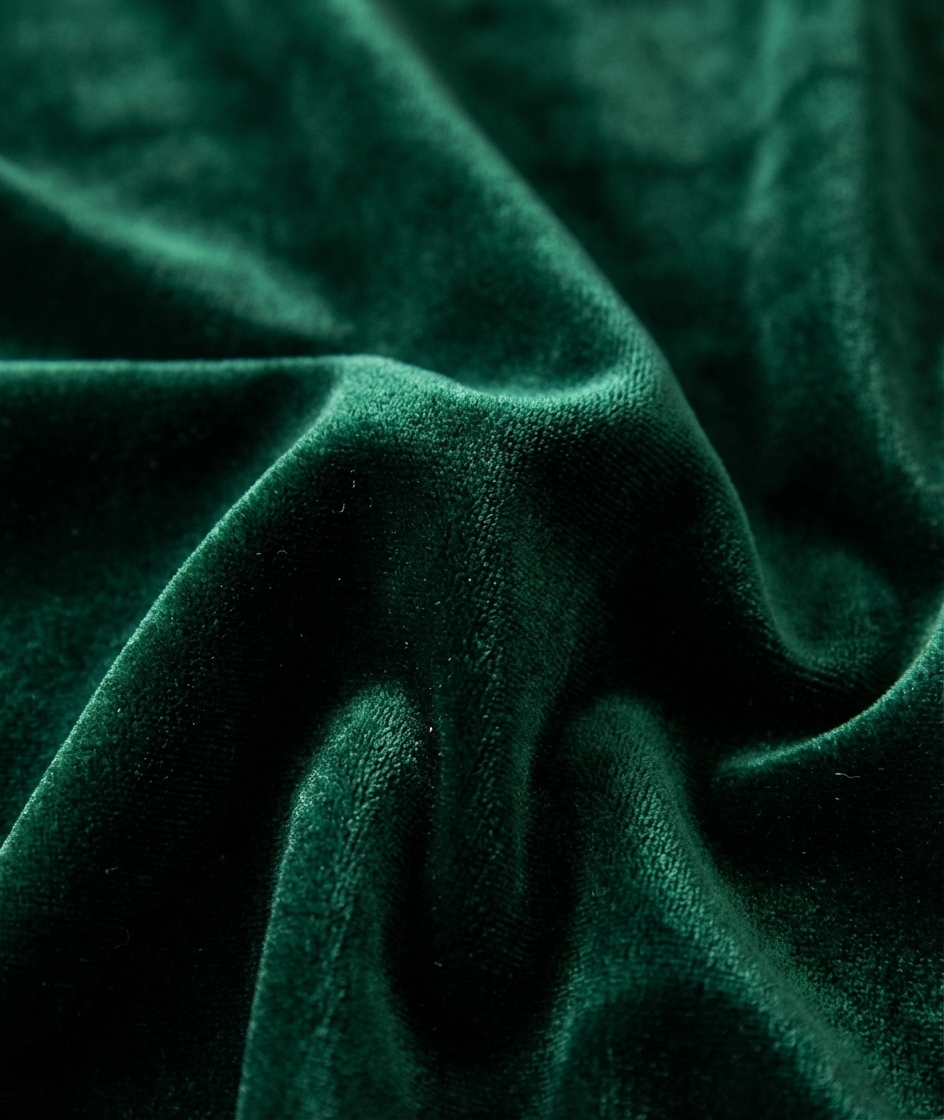 Nerea | Vestido largo de terciopelo